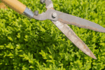 Manual Hedge Cippers